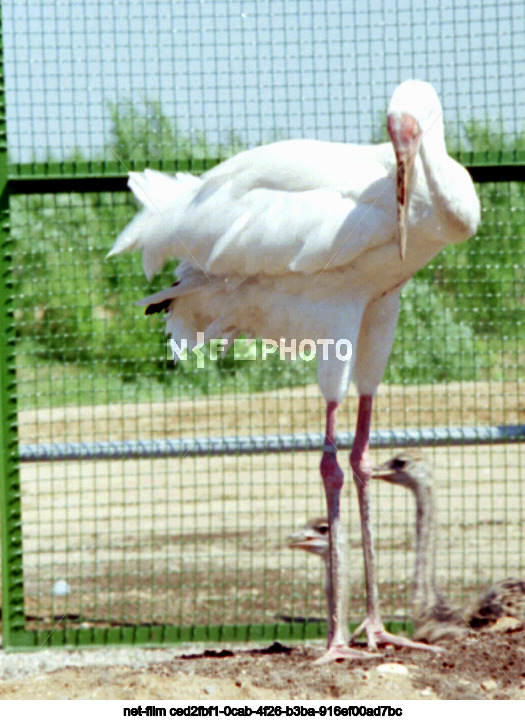 Зоопитомник Сычевского горно-обогатительного комбината в Московской области