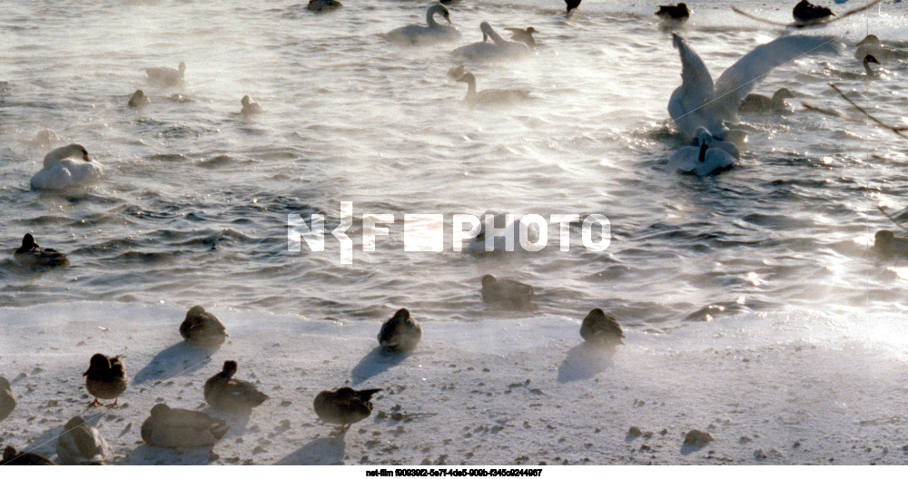 Московский зоопарк