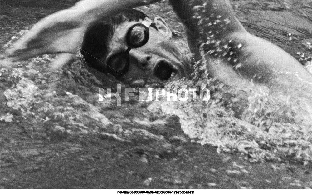 Соревнования по плаванию