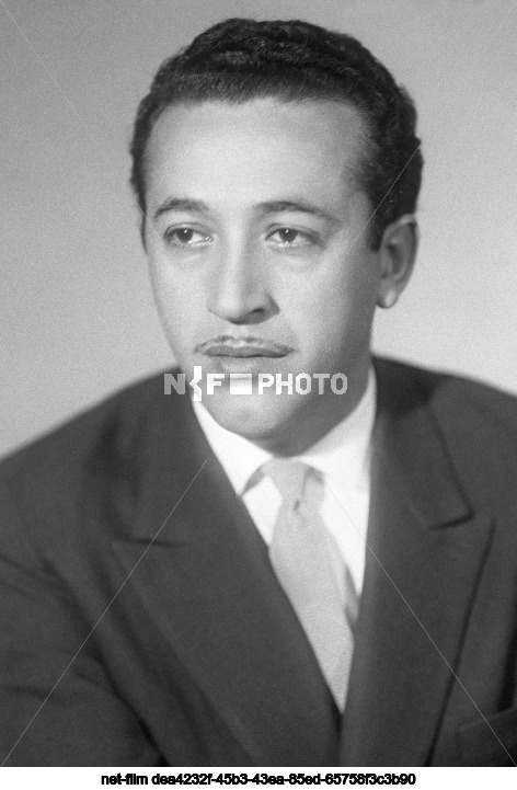 Художник Т.Т. Салахов