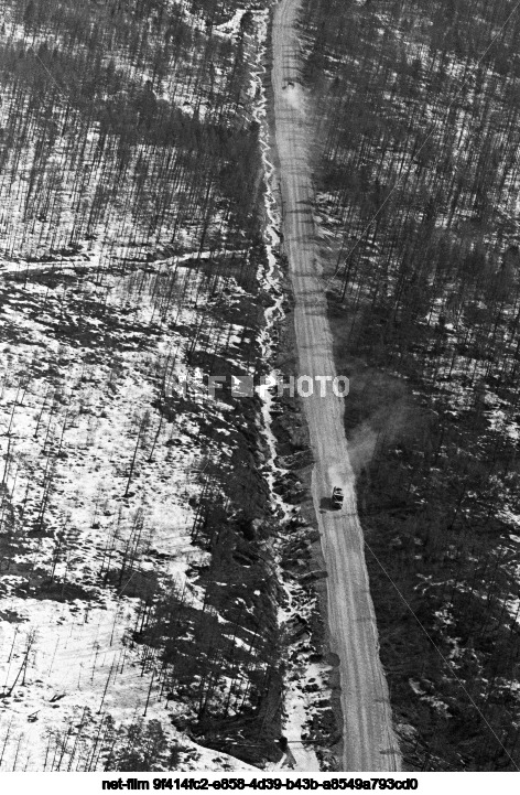 Виды Амурской области