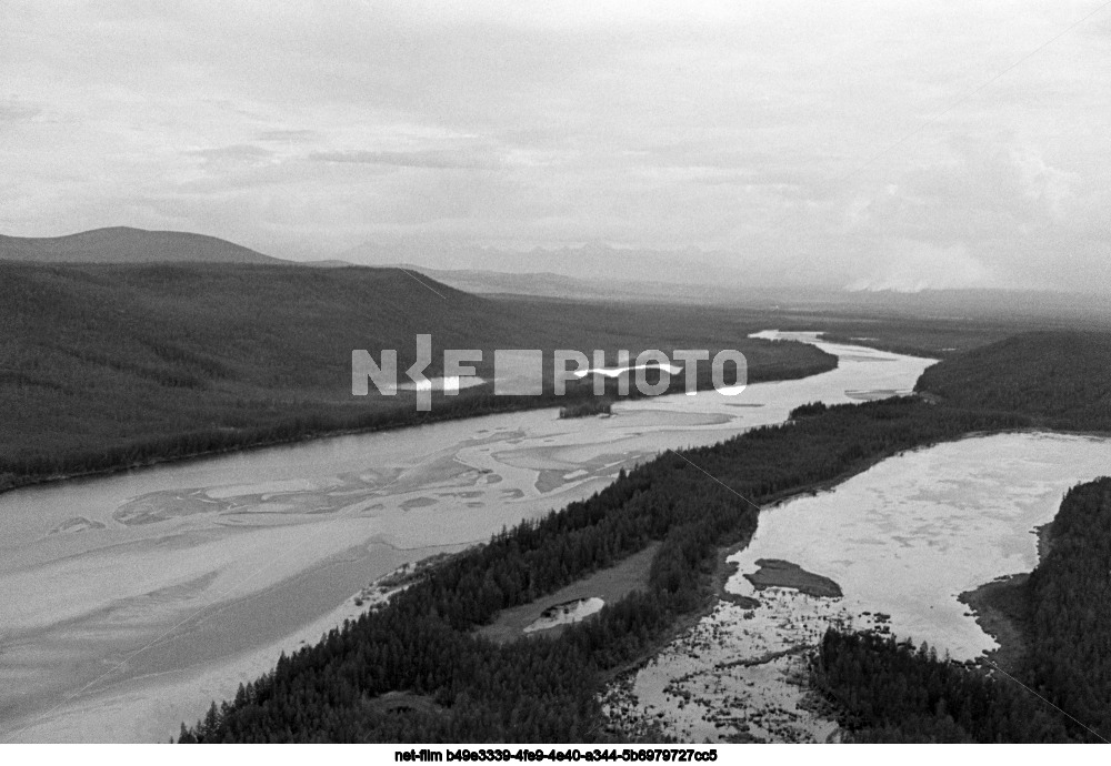 Природа Читинской области