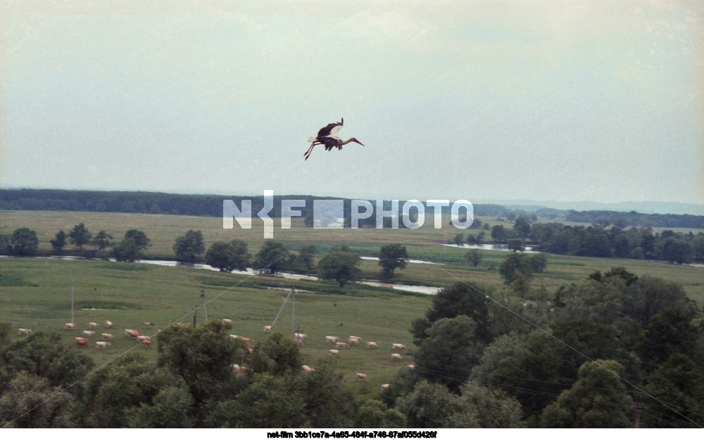 Views of Kursk region