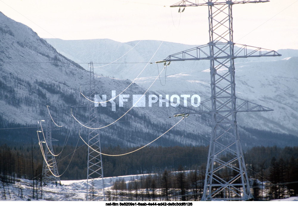 Виды Читинской области