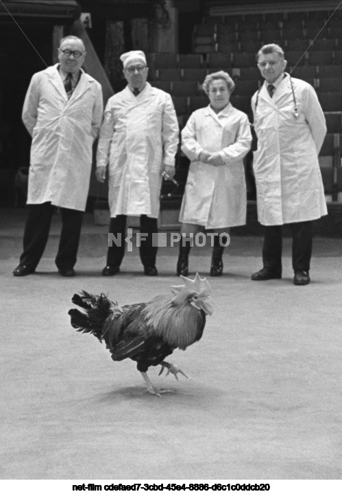 Moscow State Circus on Tsvetnoy Boulevard