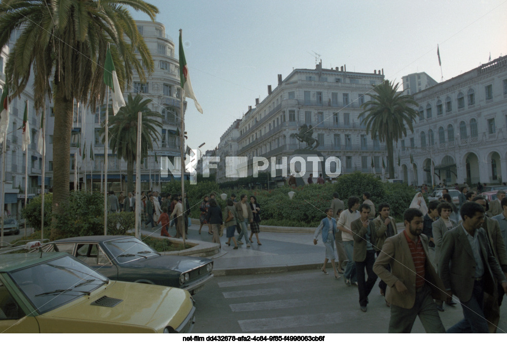 Виды Алжира