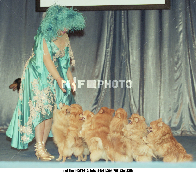 Вручение премии "Золотой клык" в Москве