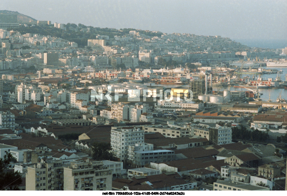 Виды Алжира