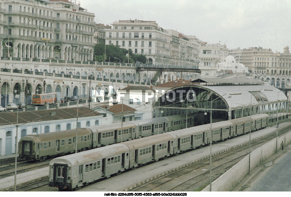 Виды Алжира