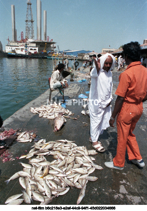 Порт в Шардже