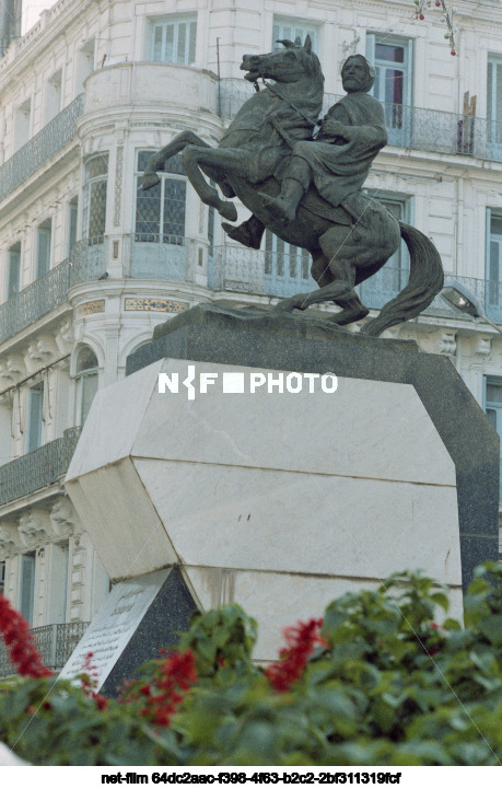 Виды Алжира