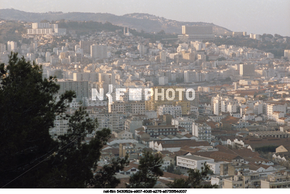 Виды Алжира