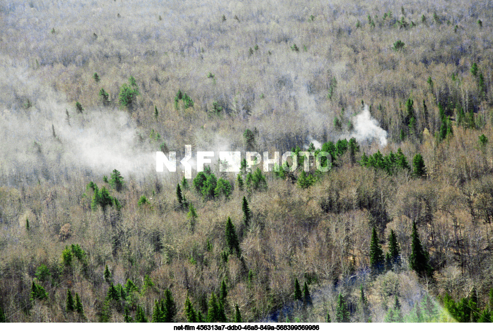 Forest fire in Sverdlovsk region