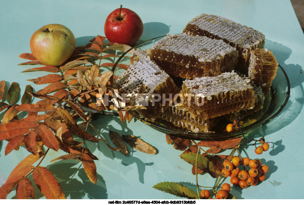 Honeycomb and apples