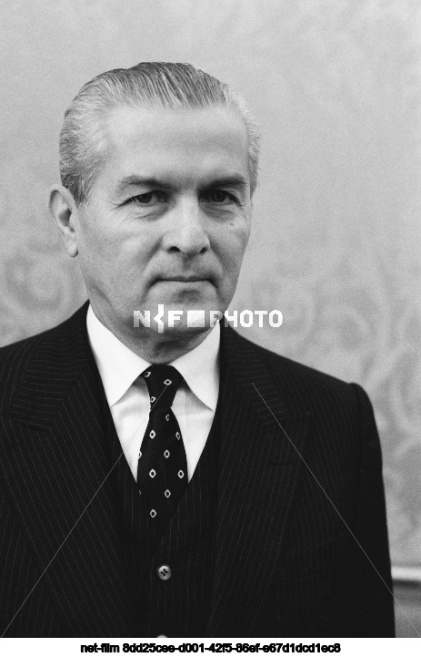Ambassador of Romania to the USSR V. Shandru
