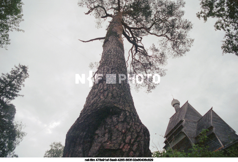 Виды Ленинградской области