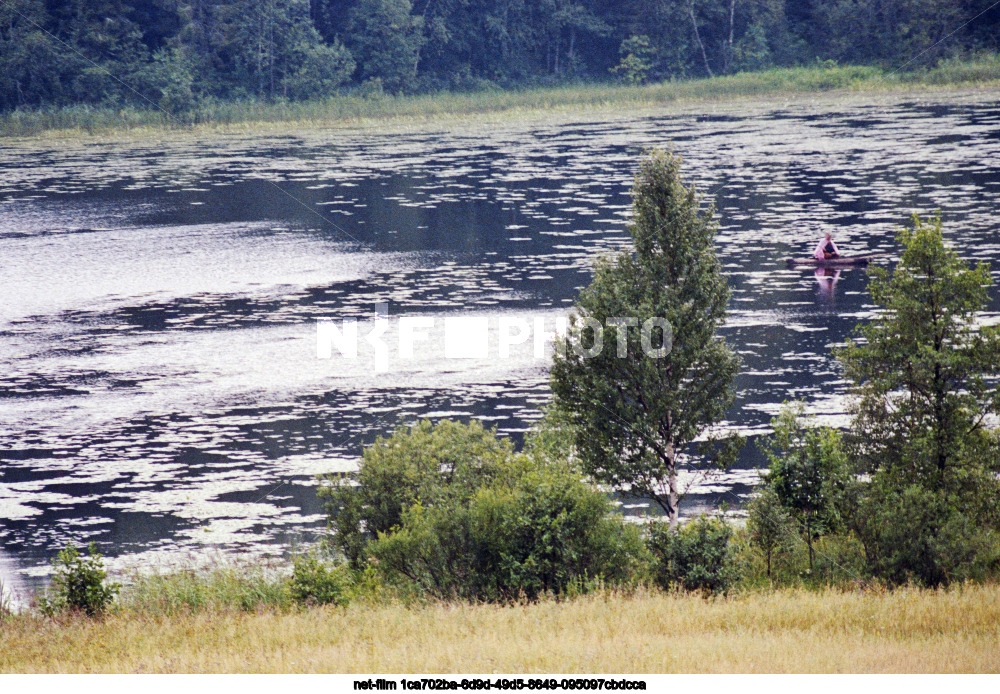 Виды Калининской области