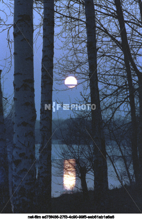 Nature of Kursk region