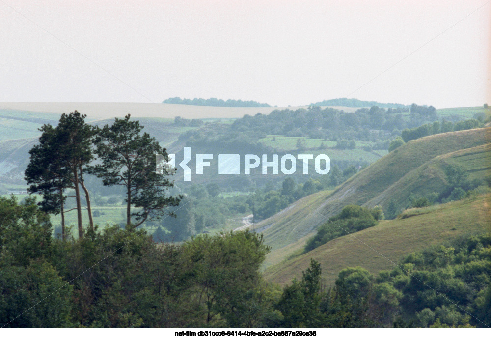 Nature of Kursk region