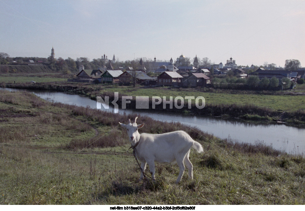 Виды Суздаля