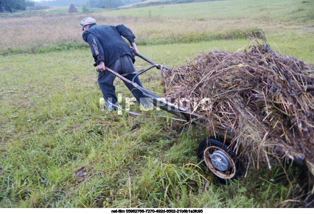 Resident of the village of Sosnovets V.F. Filippov