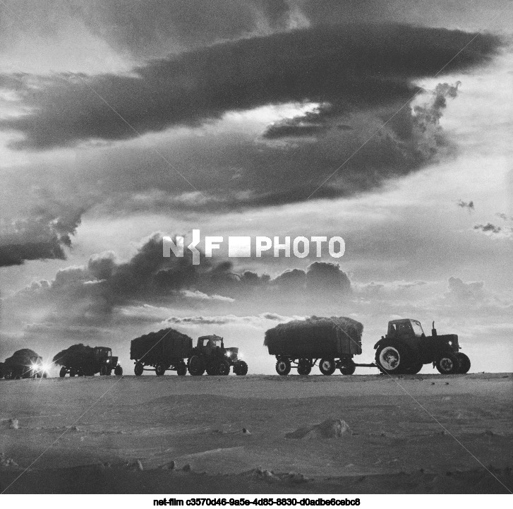 State farm "Komsomolsky" in Altai Krai