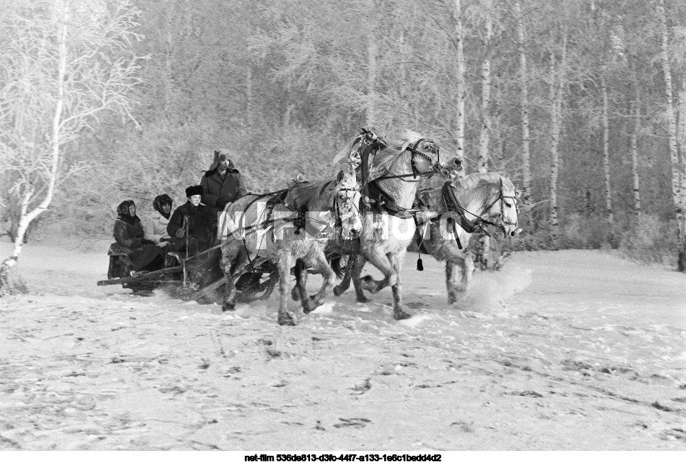 Русская тройка