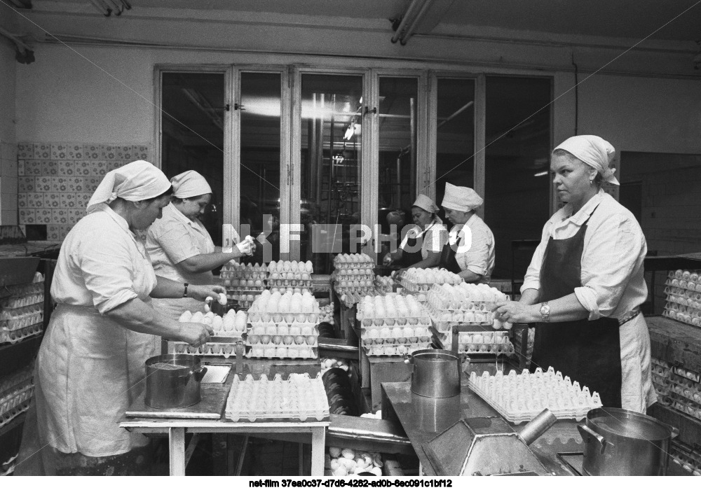 Томилинская птицефабрика в Московской области