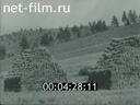 Кадр видео