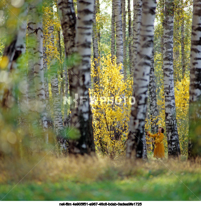 Autumn in the Yaroslavl region