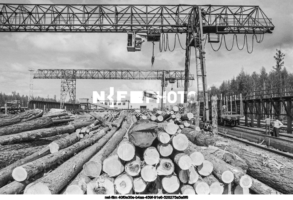 Кунерминский лестрансхоз в Иркутской области