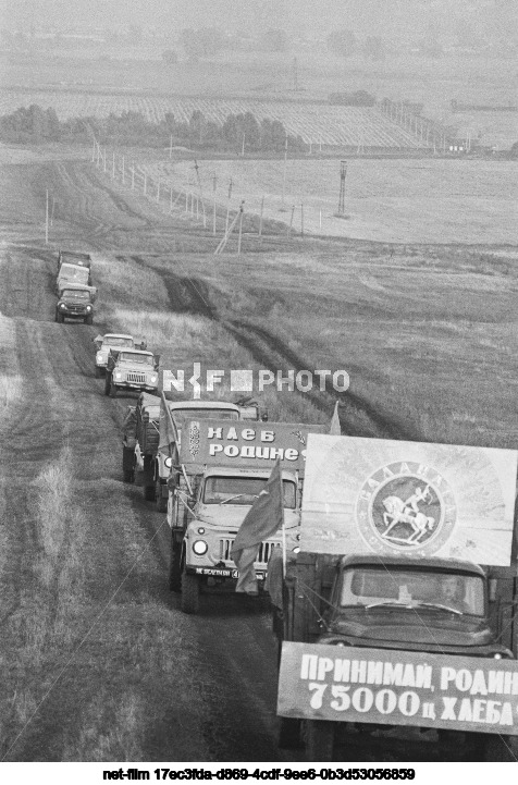 Harvesting in the Bashkir ASSR
