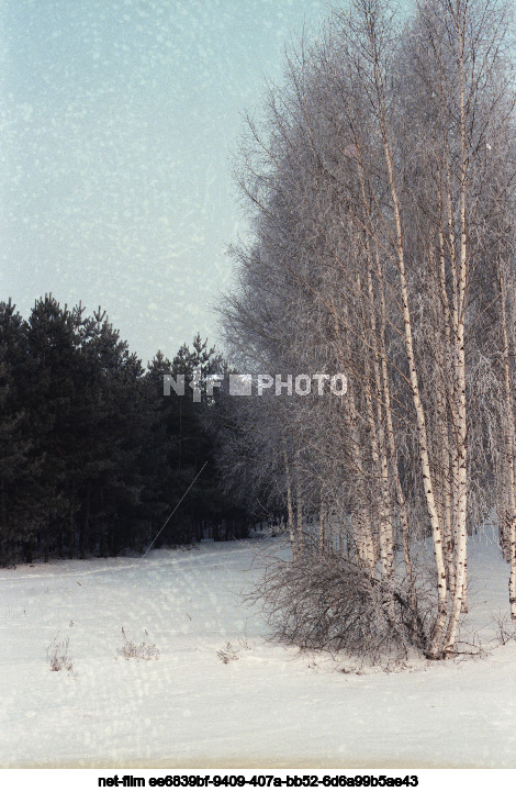 Spring in Kursk region