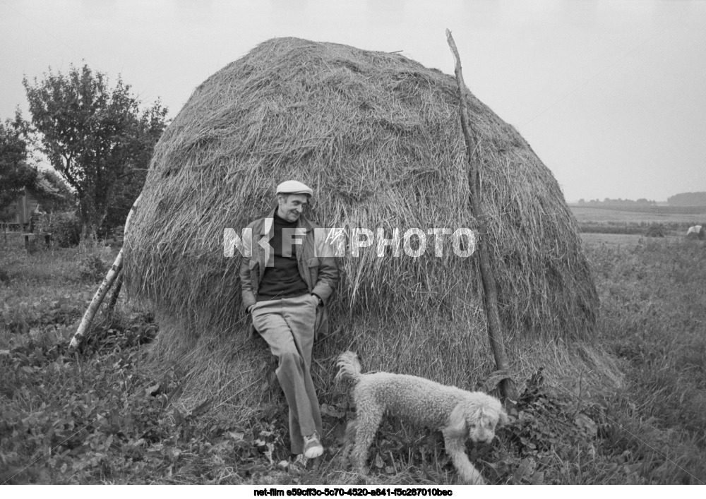 Художник А.К. Соколов