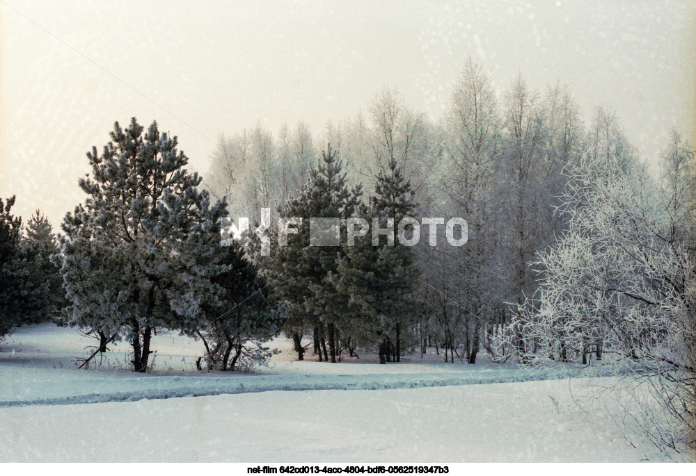 Spring in Kursk region