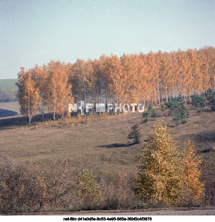 Nature Kursk region