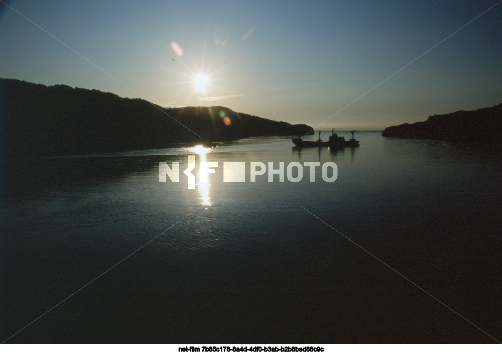 Виды Сахалинской области
