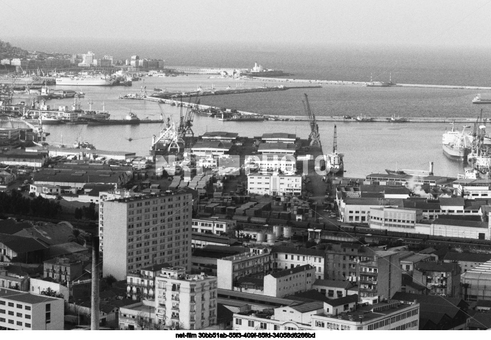 Порт Алжира