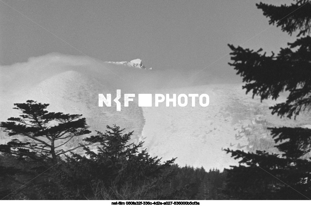 Остров Кунашир в Сахалинской области