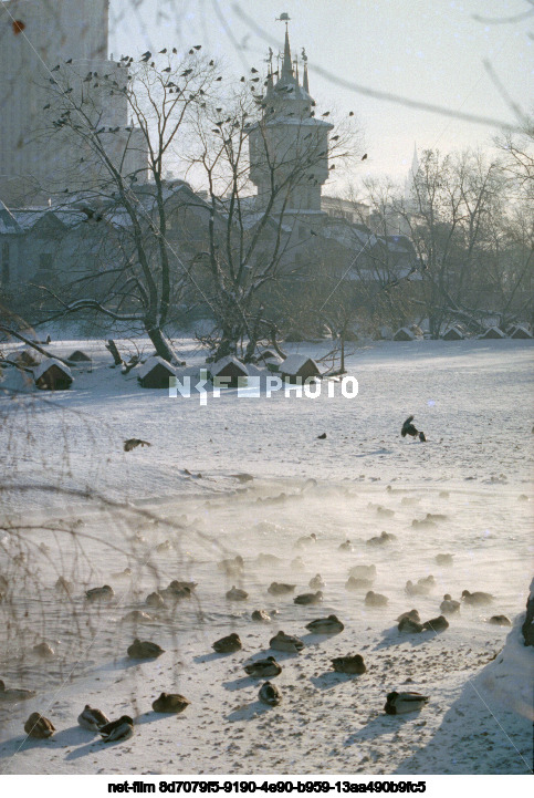 Московский зоопарк