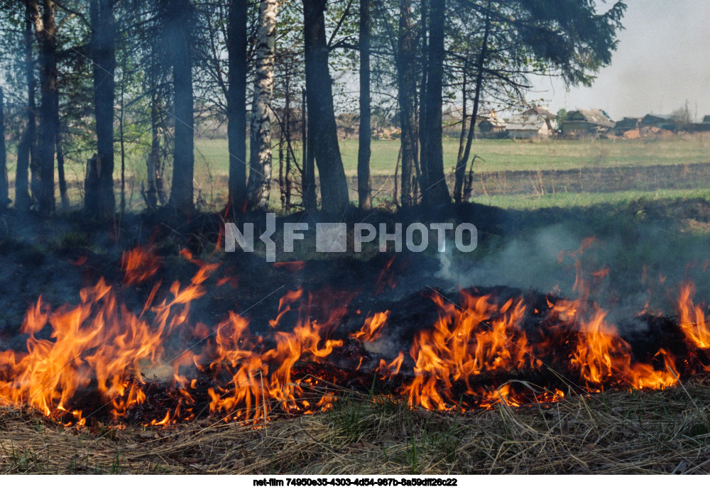 Wildfire in Nizhny Novgorod region