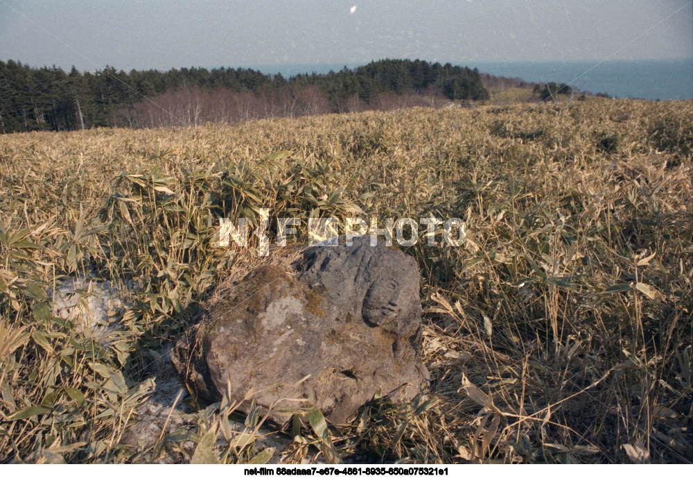 Каменная баба в Сахалинской области