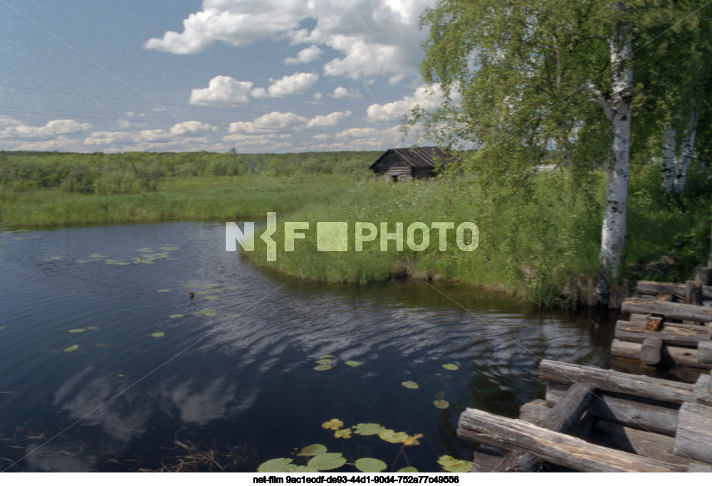 Виды Ленинградской области
