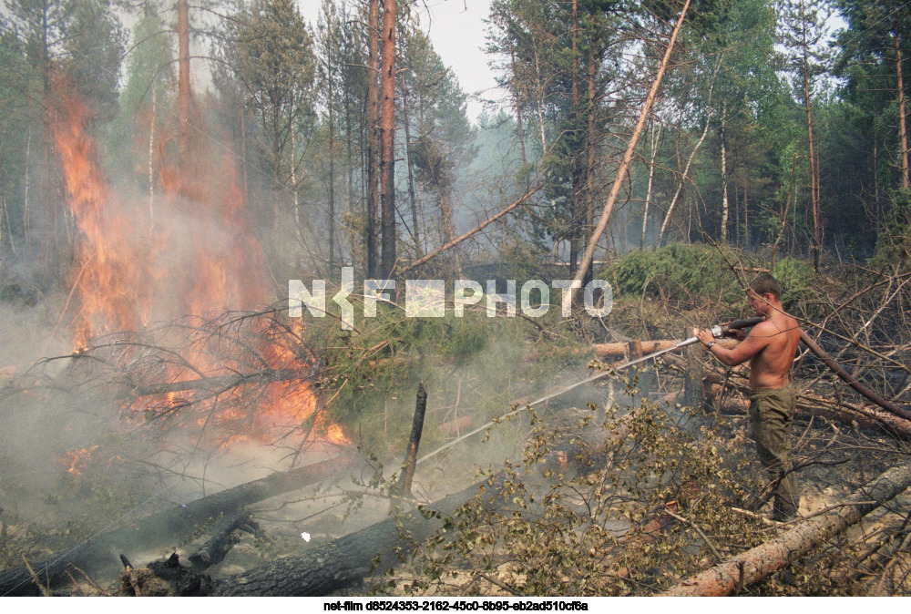 Forest fires in the Moscow region