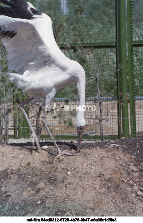 Зоопитомник Сычевского горно-обогатительного комбината в Московской области