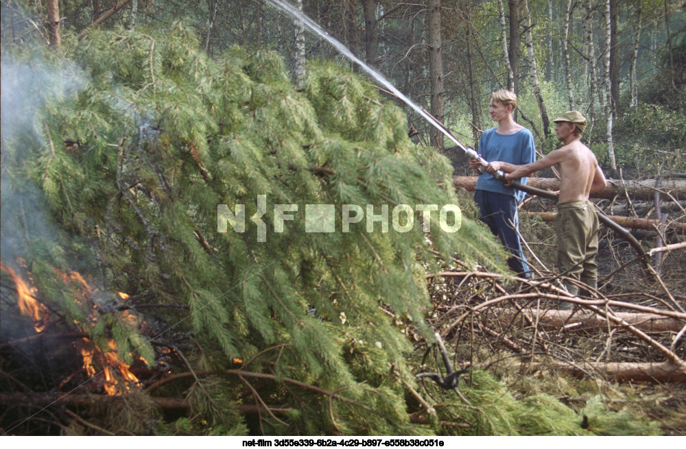 Forest fires in the Moscow region