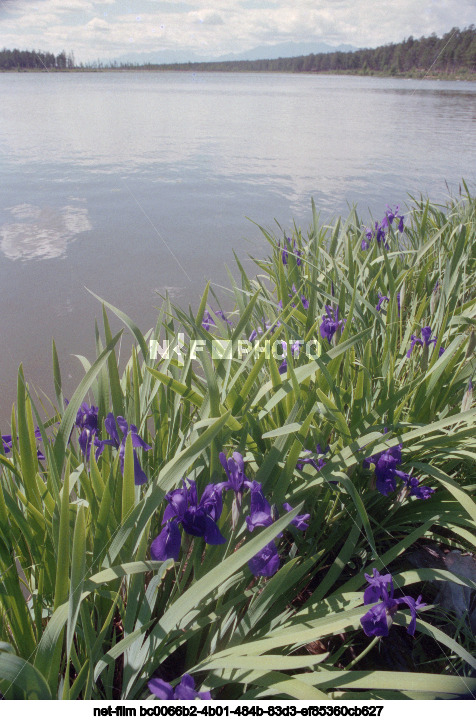 Природа Омской области