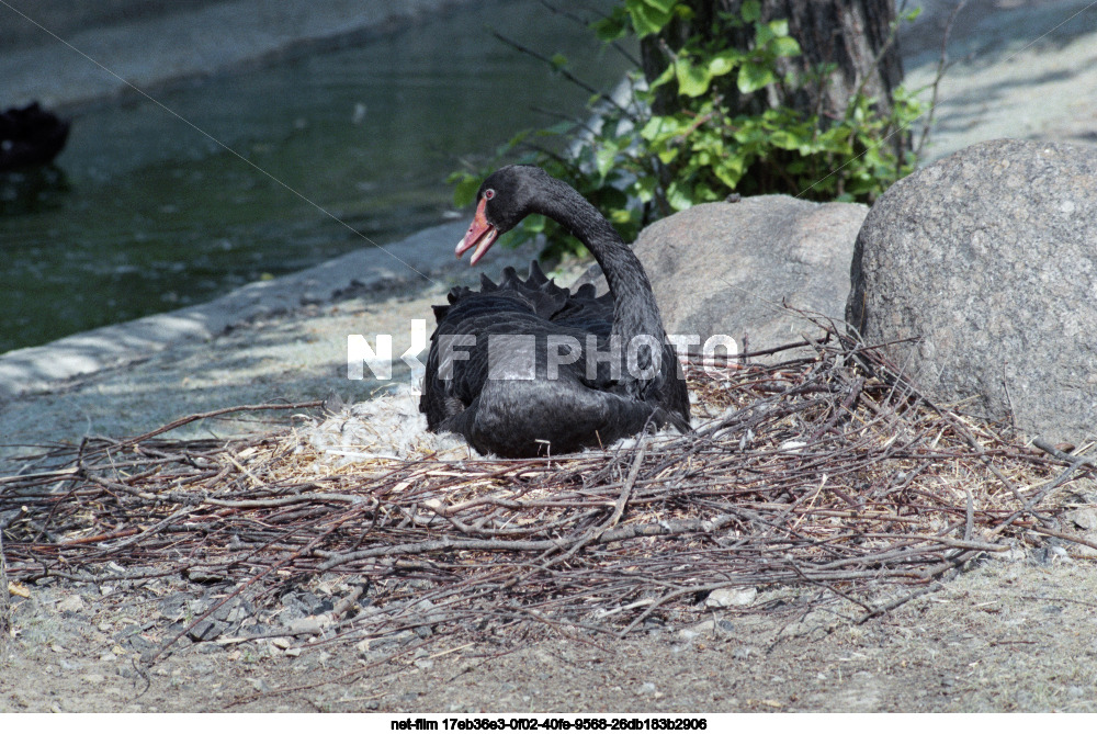 Московский зоопарк