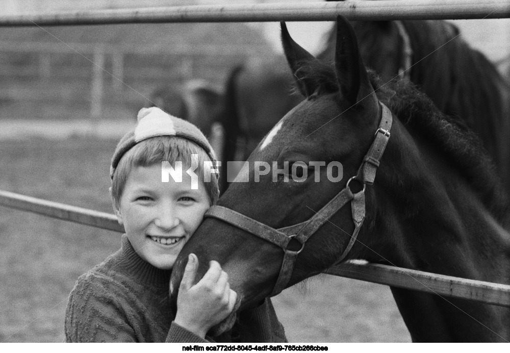 Коневодство