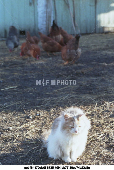 Зона отчуждения Чернобыльской АЭС в Киевской области